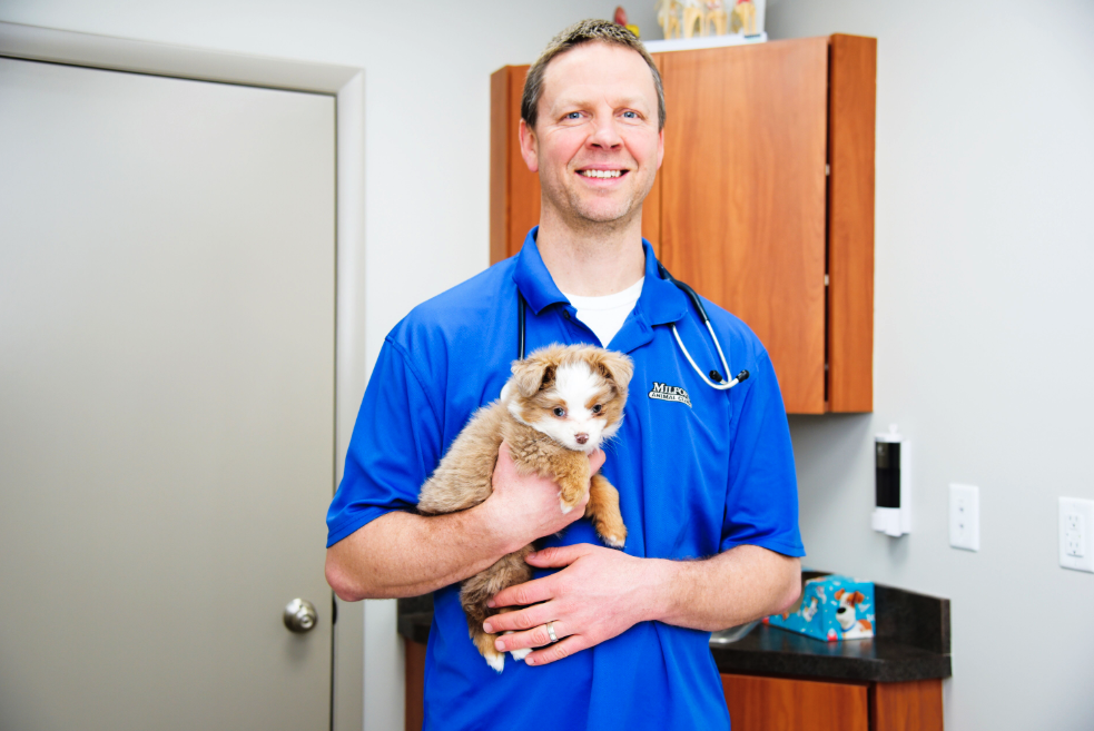 Milford Animal Clinic